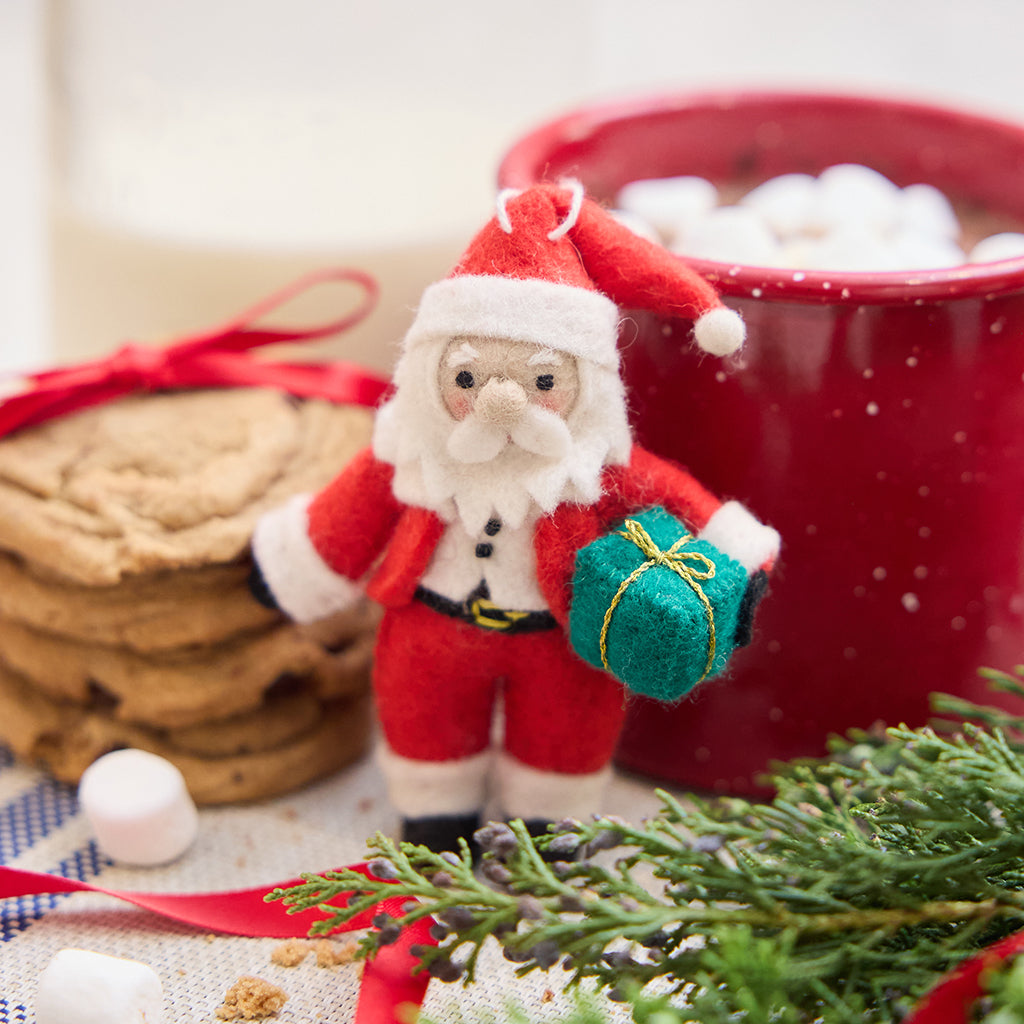 Little Santa with Gift