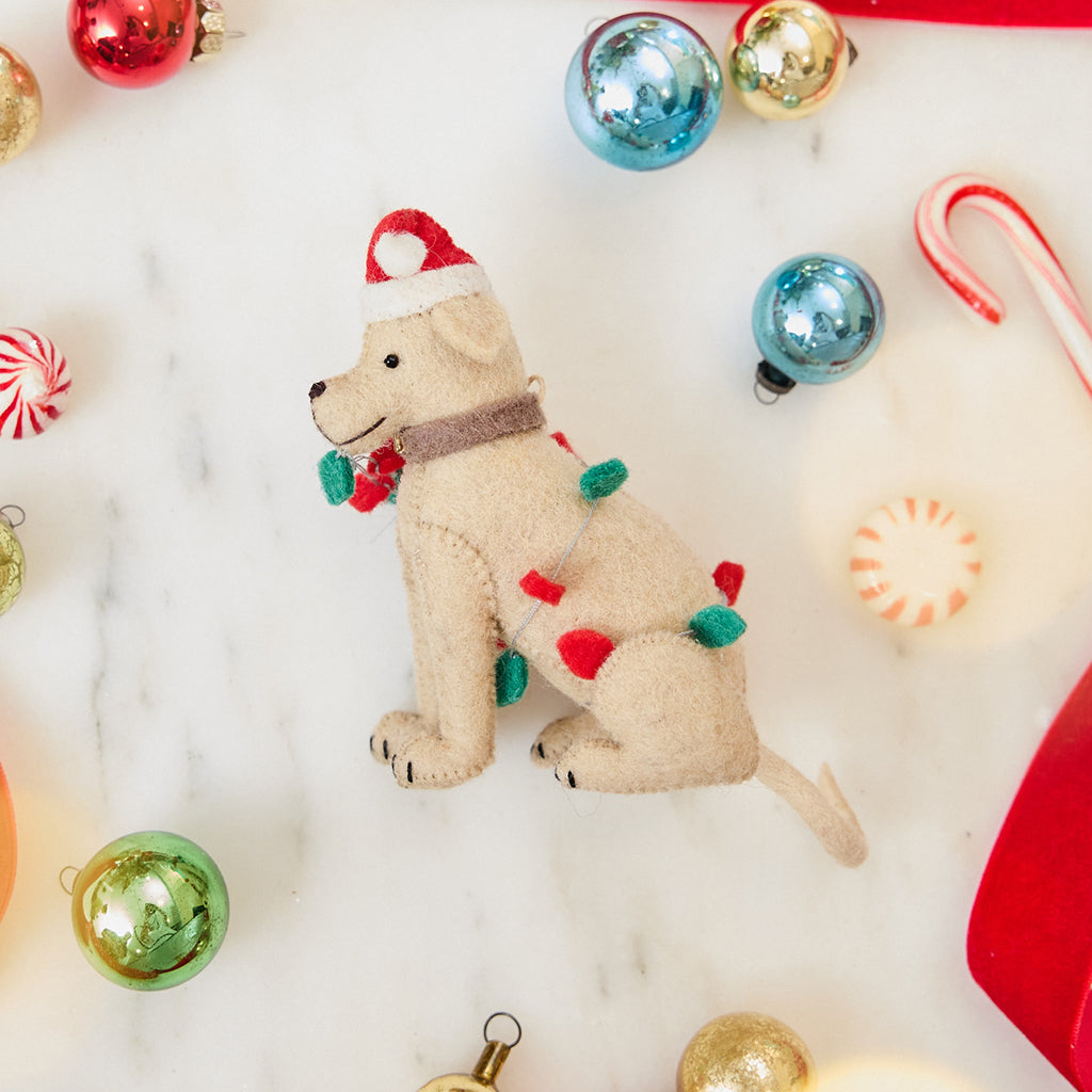 Yellow Lab in Lights