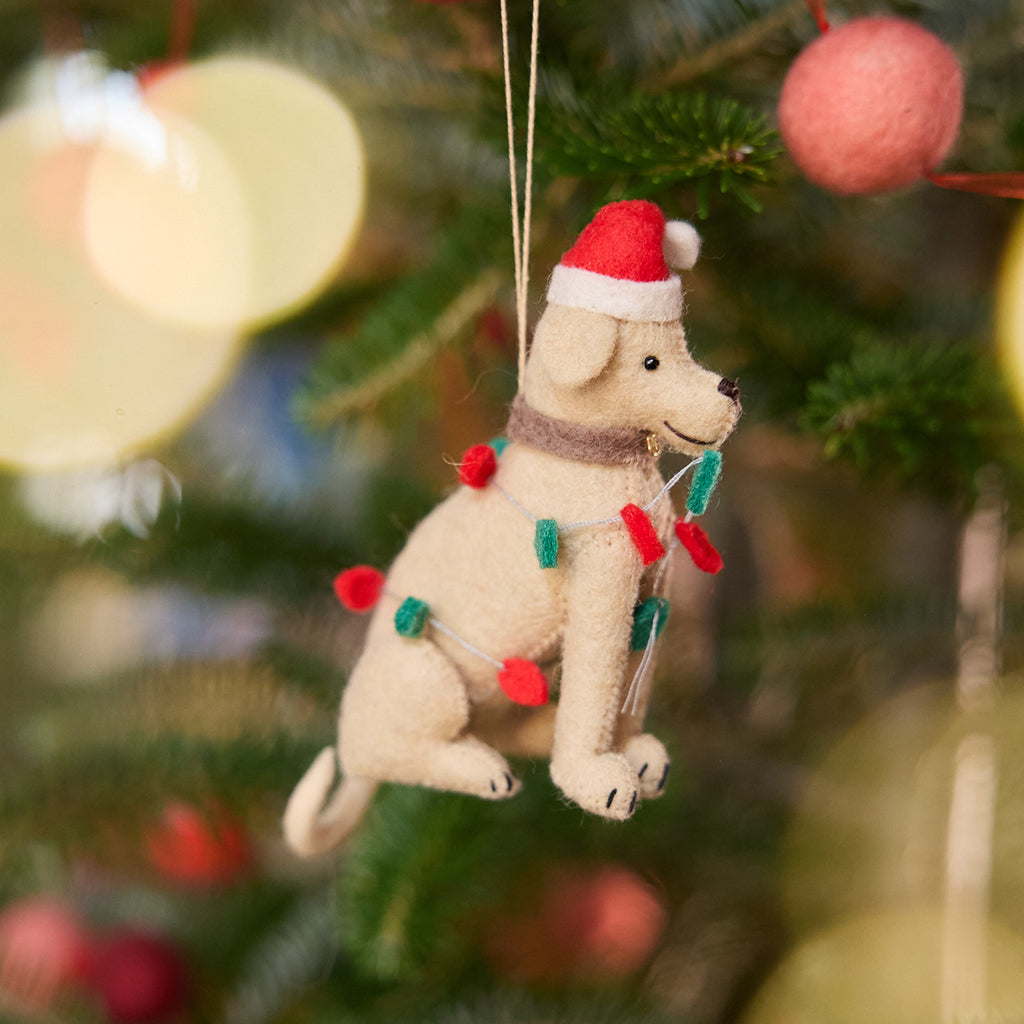 Yellow Lab in Lights