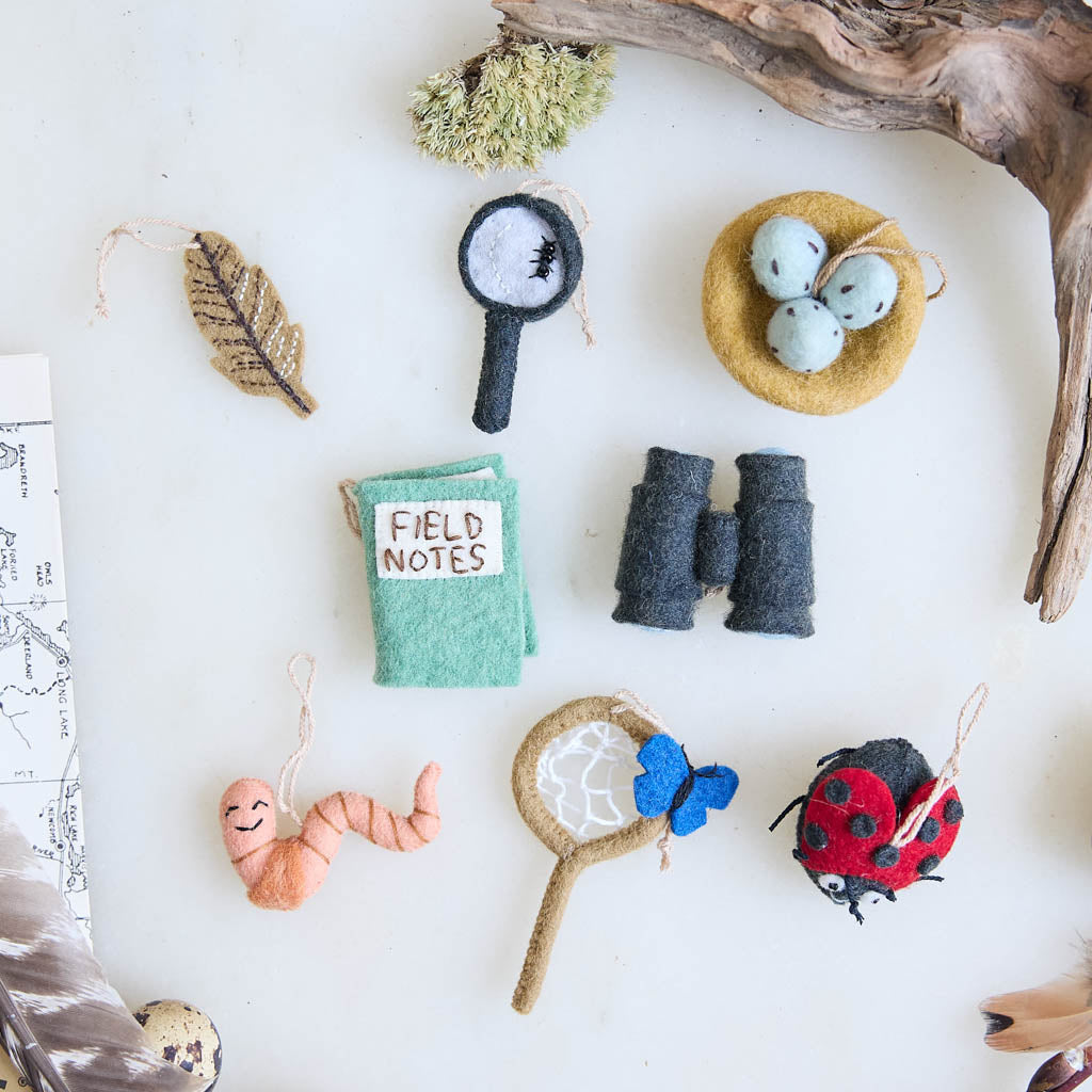 Nature Explorers Mini Ornaments