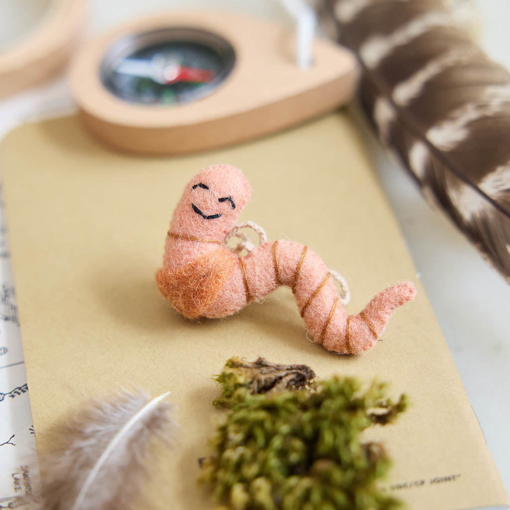 Nature Explorers Mini Ornaments