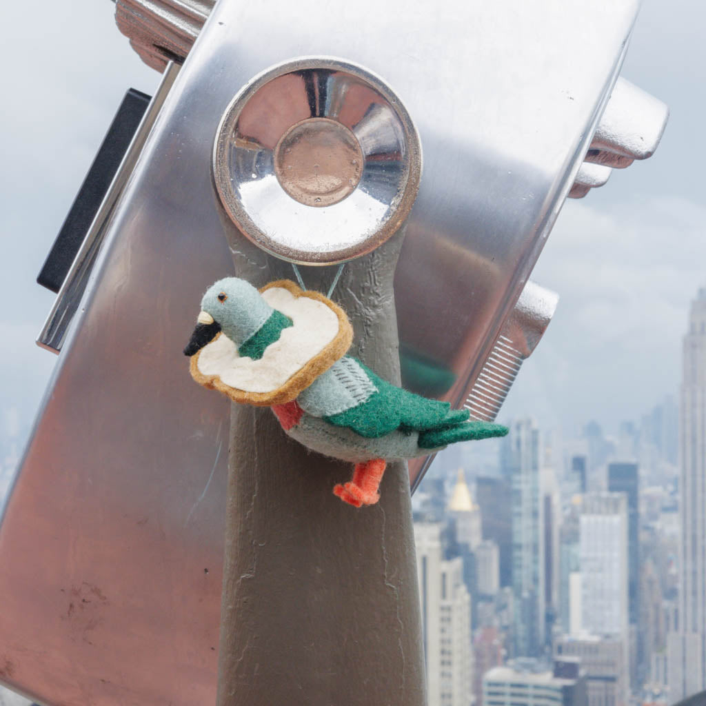 Pigeon with Bread Necklace