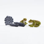 Life Cycle Frog Kit