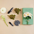 Life Cycle Frog Kit
