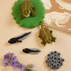 Life Cycle Frog Kit