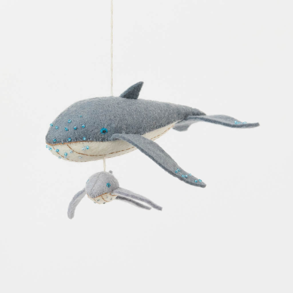 Humpback Whale with Baby