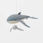 Humpback Whale with Baby