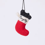 Naughty Stocking with Coal