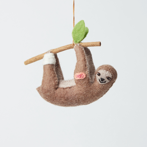 Take It Slow Sloth
