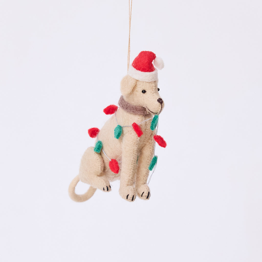 Yellow Lab in Lights